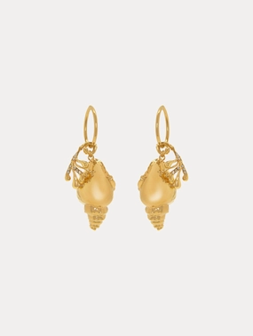 Coral & Shell Hoop Earrings
