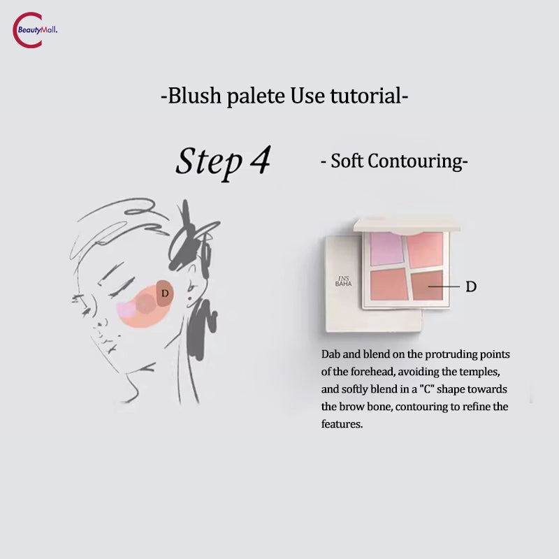 INSBAHA Primary Exploration Blush Palette