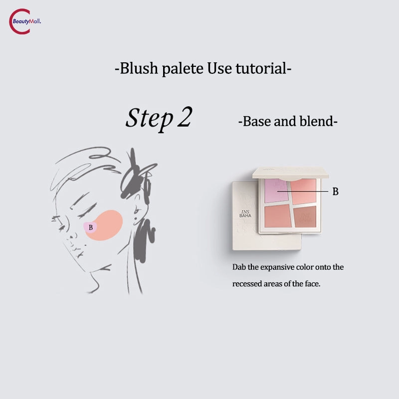 INSBAHA Primary Exploration Blush Palette