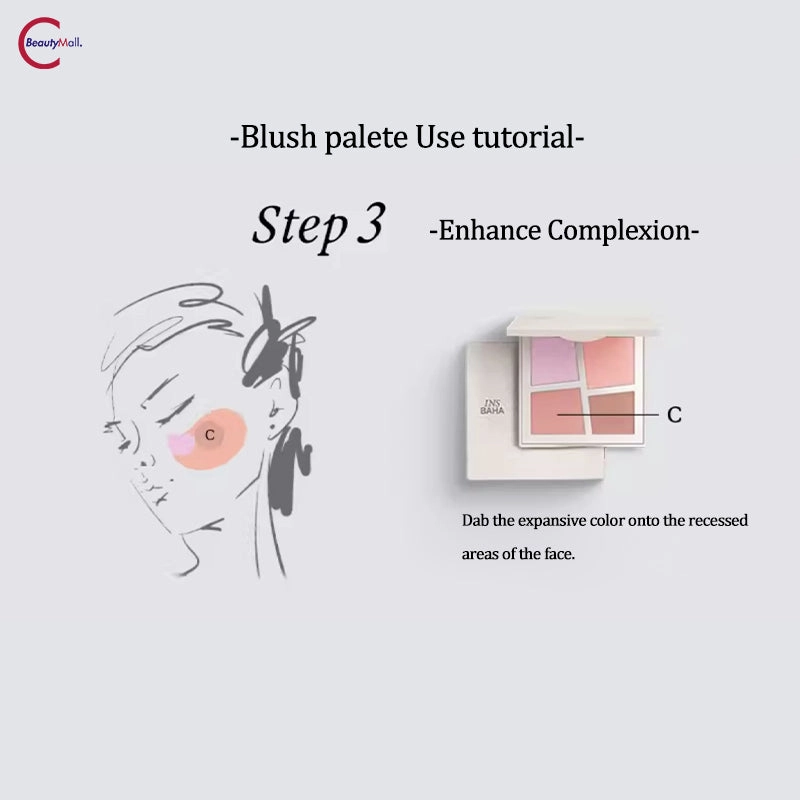INSBAHA Primary Exploration Blush Palette