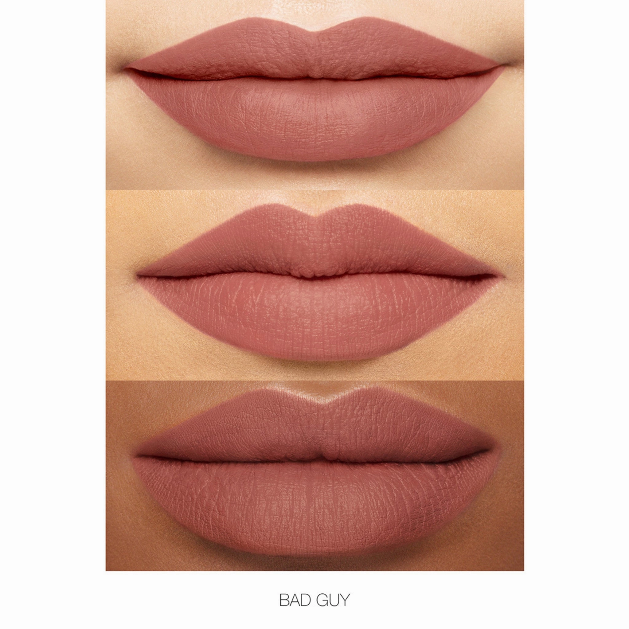 Powermatte Lip Pigment