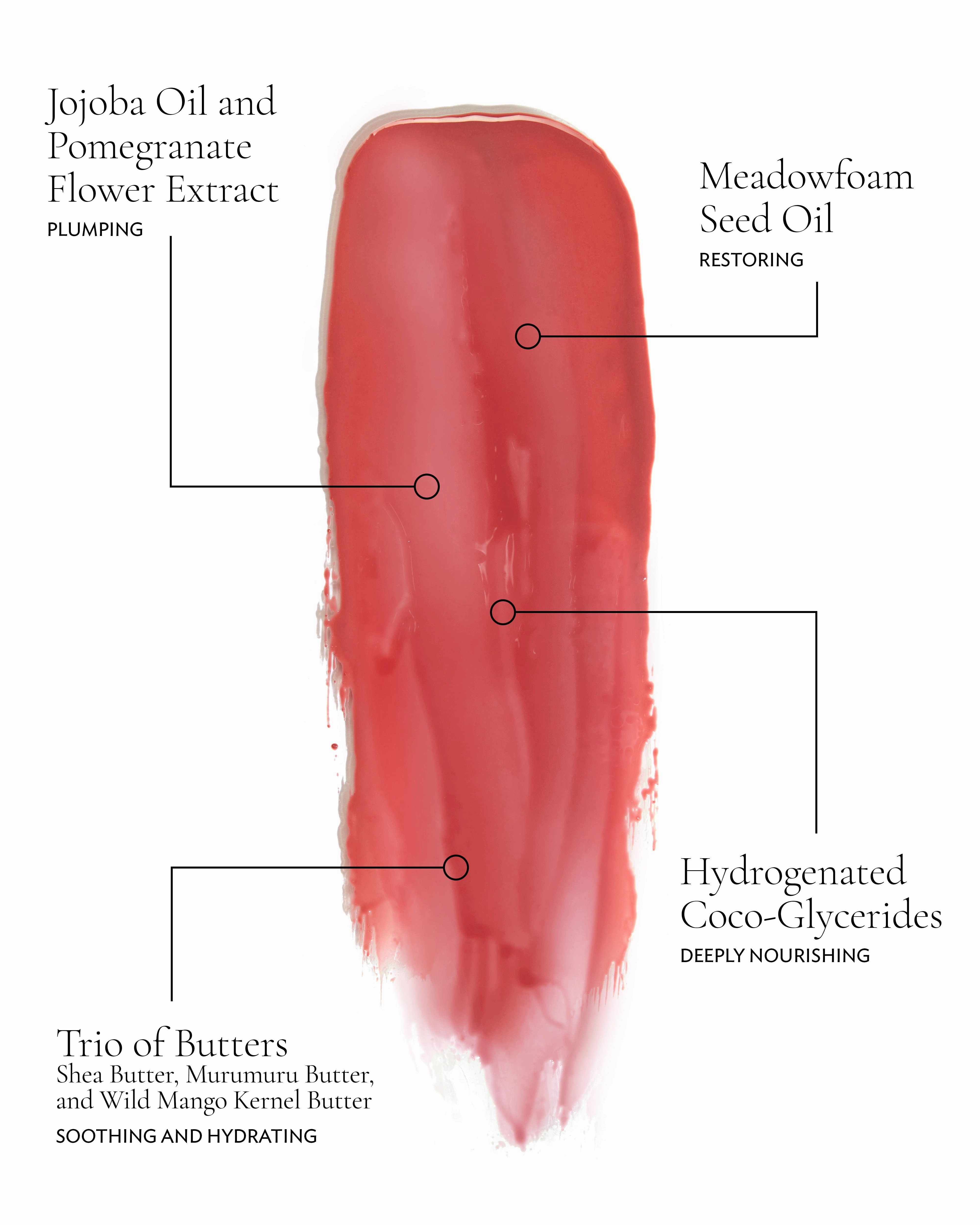Épanoui (Baume Embrace Melting Lip Colour)